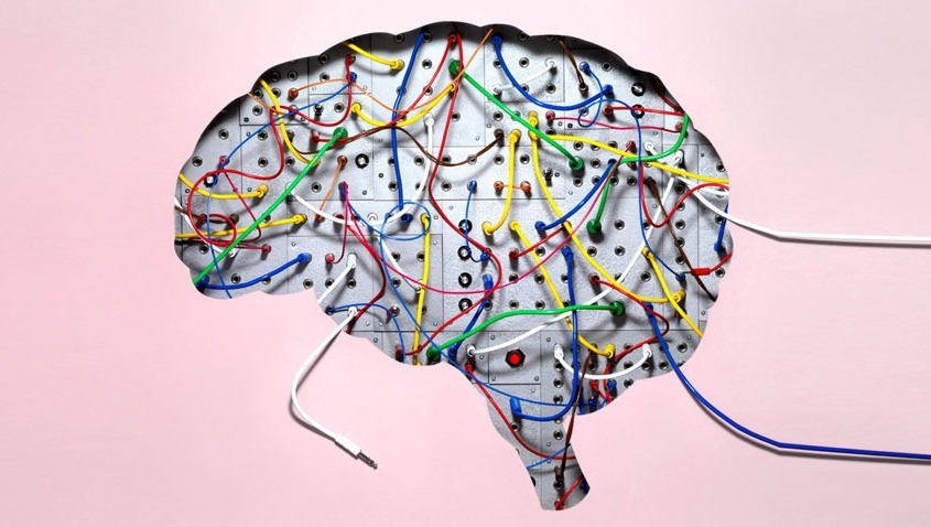 نقشه مغزی